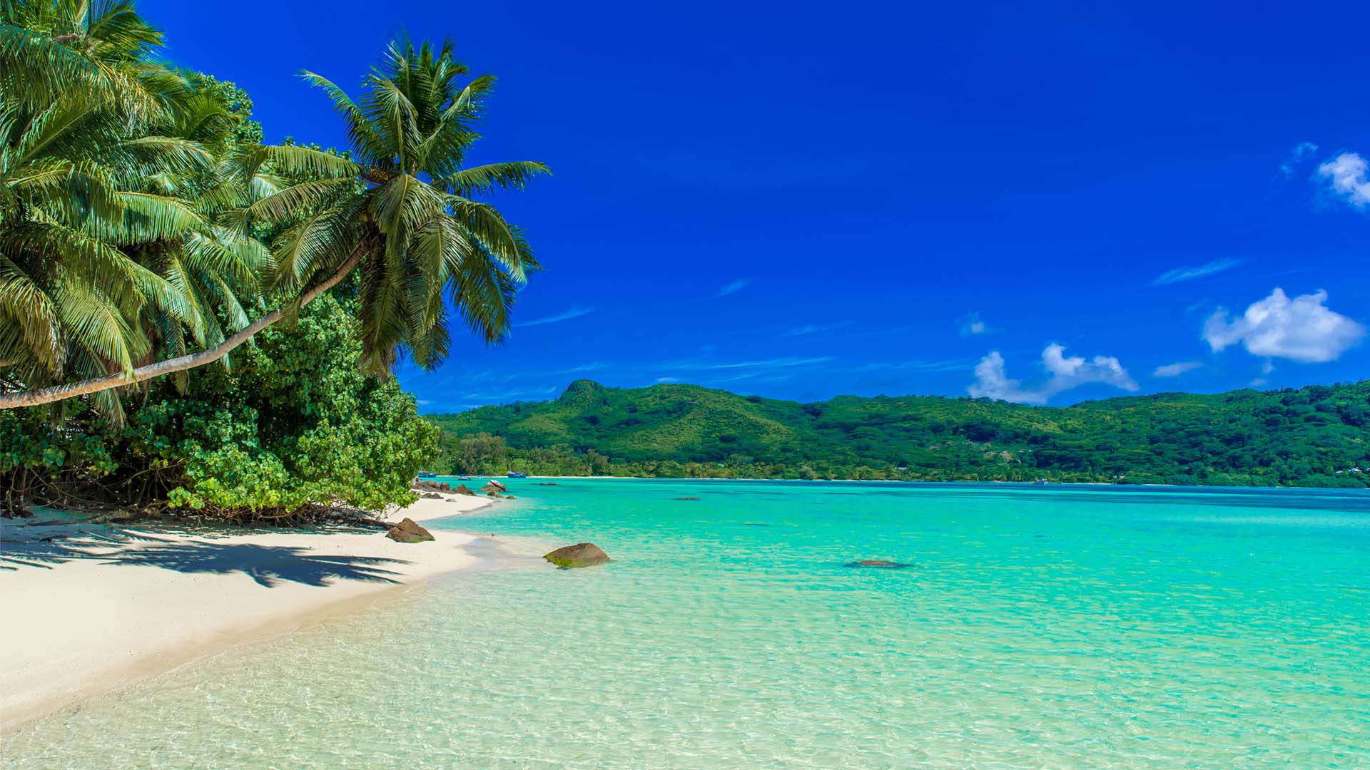 Tropical beach with clear turquoise water, white sand, palm trees, and green hills under a bright blue sky.
